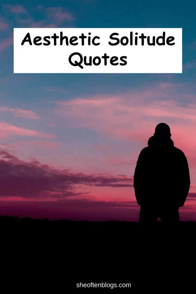 aesthetic solitude quotes