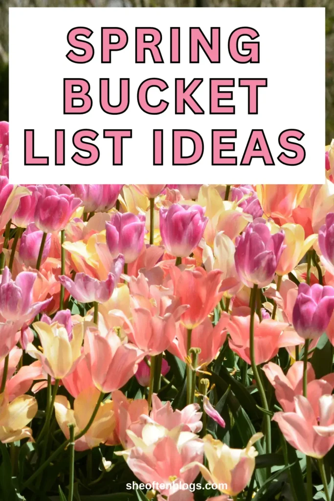 spring bucket list ideas