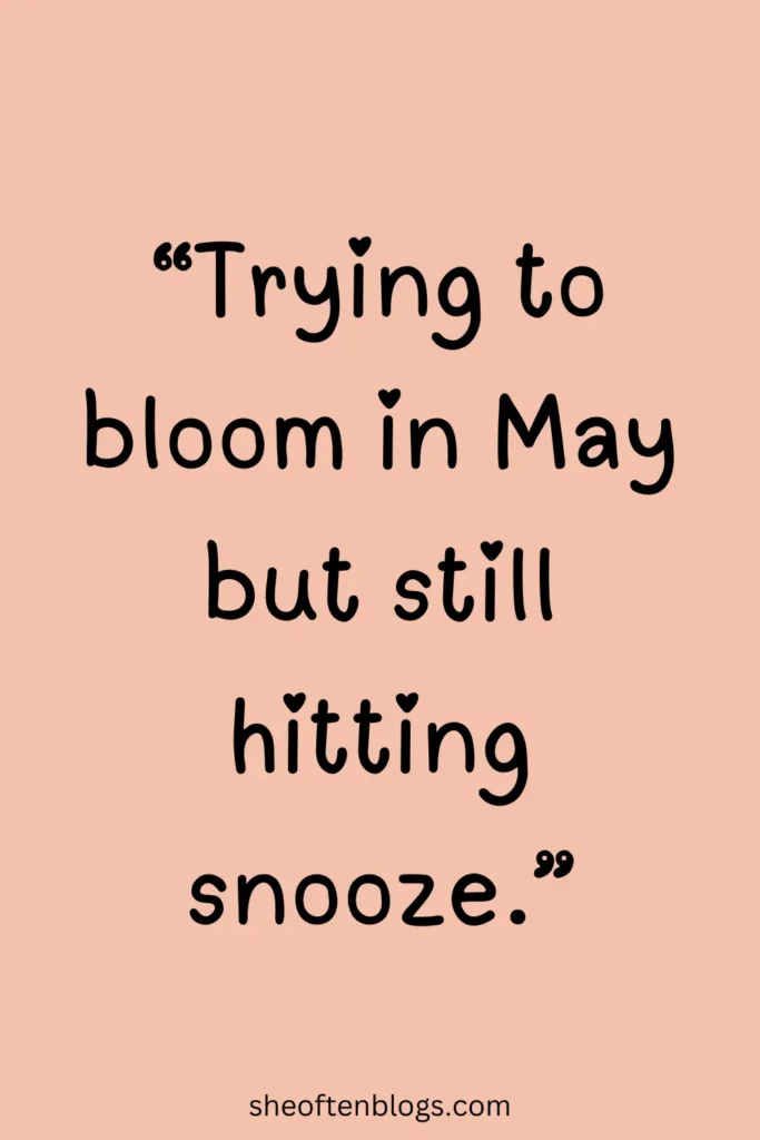 may quotes