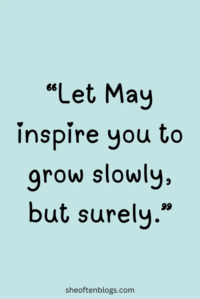 may quotes