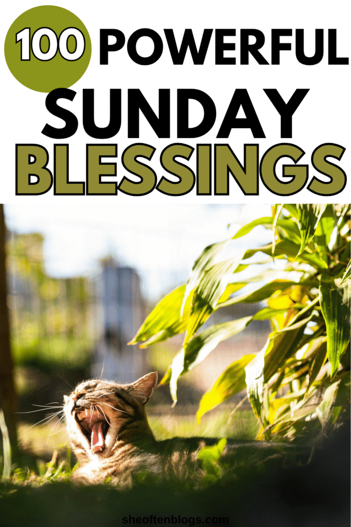 SUNDAY BLESSINGS