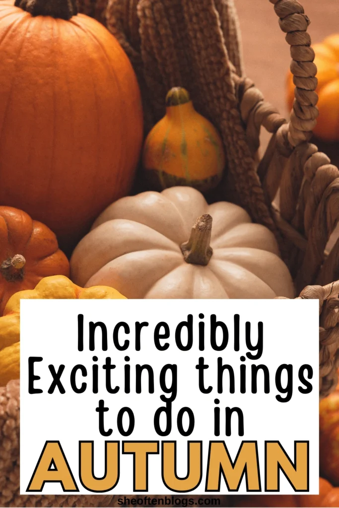 fall bucket list ideas